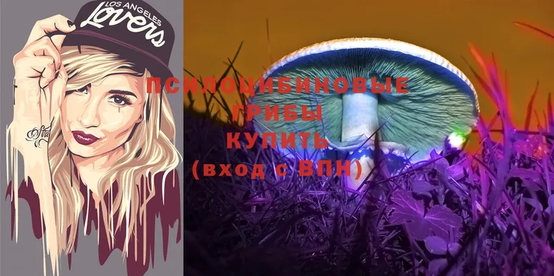 MEGA как войти  Мурино  Галлюциногенные грибы MAGIC MUSHROOMS 